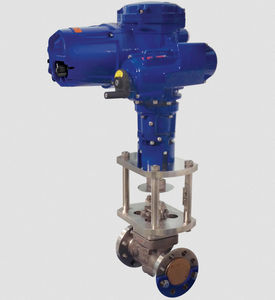electric actuator 1