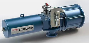 pneumatic actuator