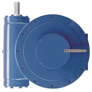 worm gearbox 1