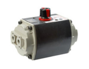 pneumatic valve actuator