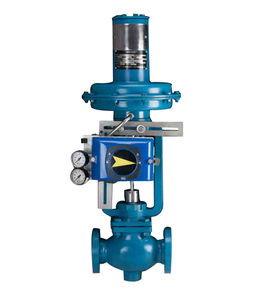 globe valve