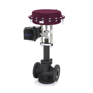 globe valve