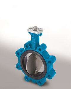 butterfly valve