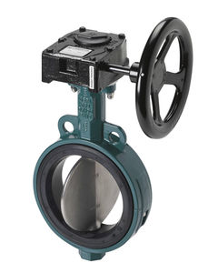 butterfly valve