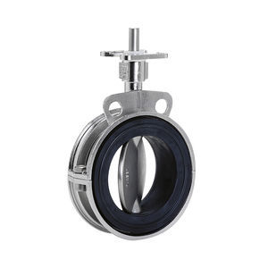 butterfly valve 1