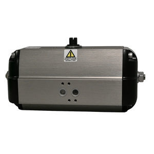 pneumatic actuator