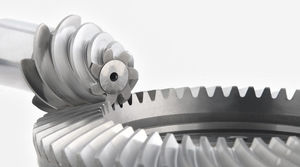 bevel gear