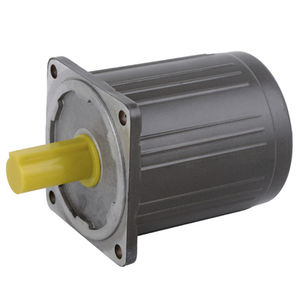single-phase motor