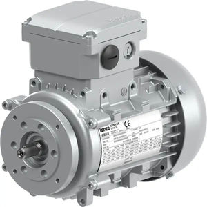 AC motor 1