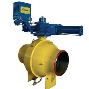 trunnion-mounted valve