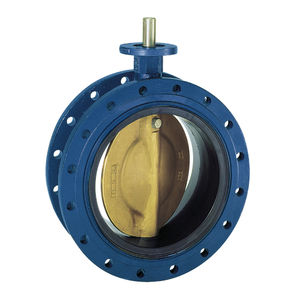 butterfly valve 1