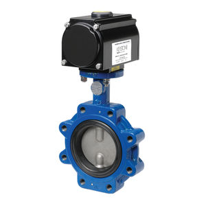 butterfly valve 1
