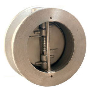 dual plate check valve