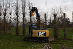 branch cutter head
