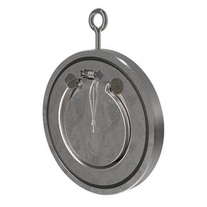 swing check valve