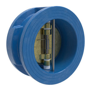 swing check valve