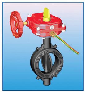 butterfly valve