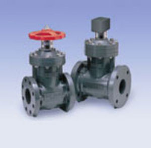 gate valve