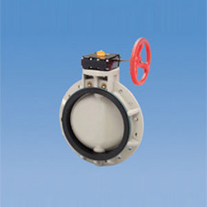 butterfly valve