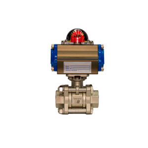 electric valve actuator
