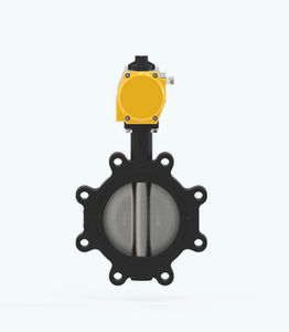 butterfly valve