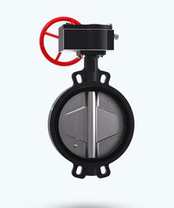 butterfly valve 1