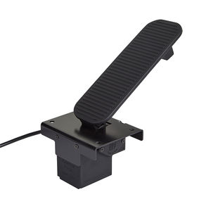 accelerator pedal