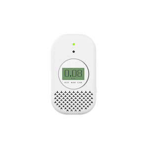 gas detector 1