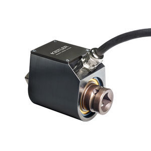 dynamic torque sensor 1