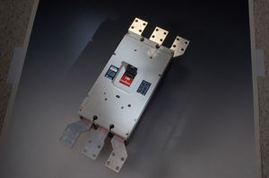 thermal circuit breaker