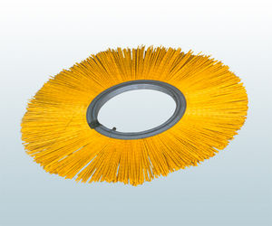 disc brush
