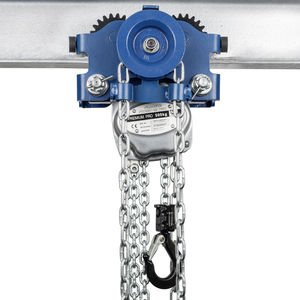 manual hoist trolley