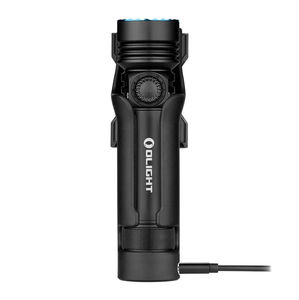 LED flashlight 1