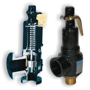 safety valve