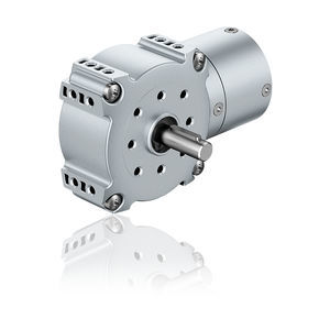 DC gear-motor