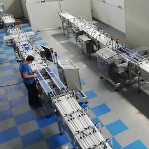 multi-product conveyor system