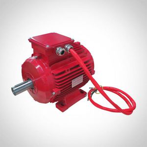 AC motor