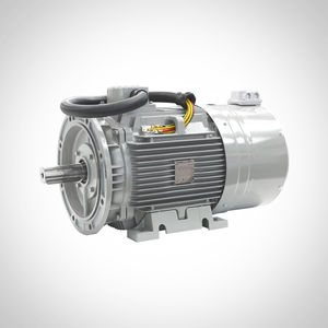 AC motor