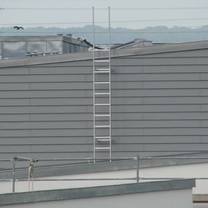 stainless steel ladder