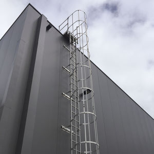 ladder with safety cage