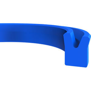 lip seal 1