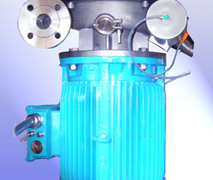 rotor-stator homogenizer / batch