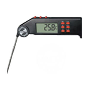 digital thermometer 1