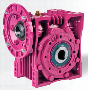 worm gear reducer