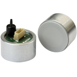 absolute pressure sensor