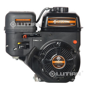 gasoline engine
