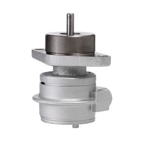 rotary vane compressor 1