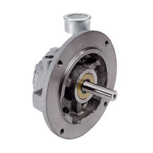 vane air motor 1