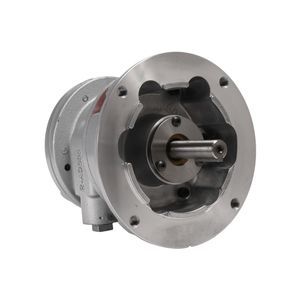 vane air motor 1