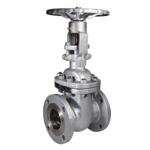 gate valve